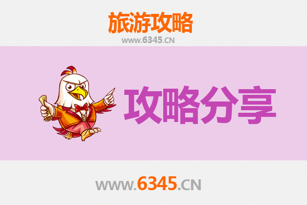 保亭金江农场至南澳岛深度自驾游攻略：山海相逢的秘境之旅